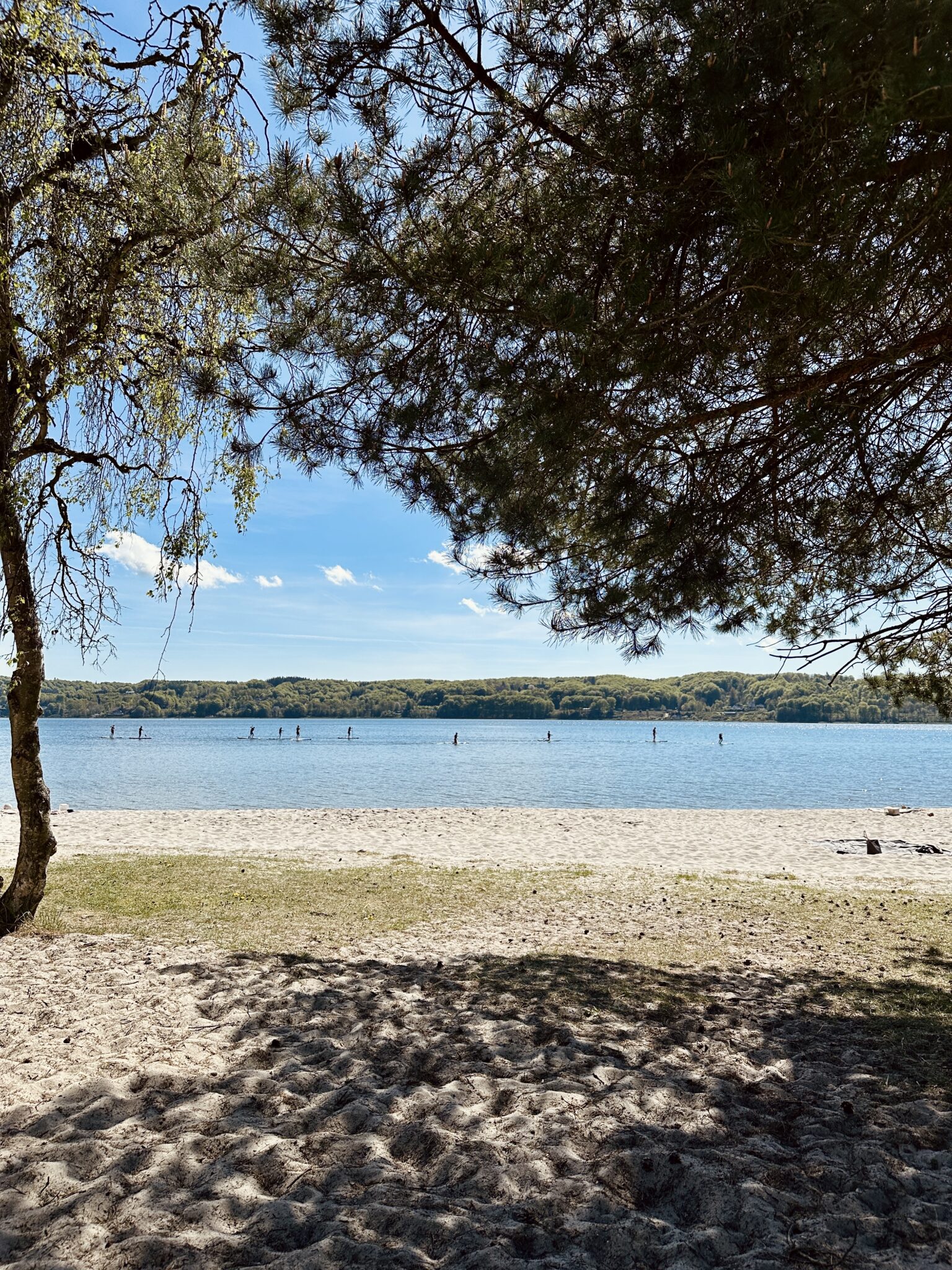 Strandene på Vejle Idrætshøjskole