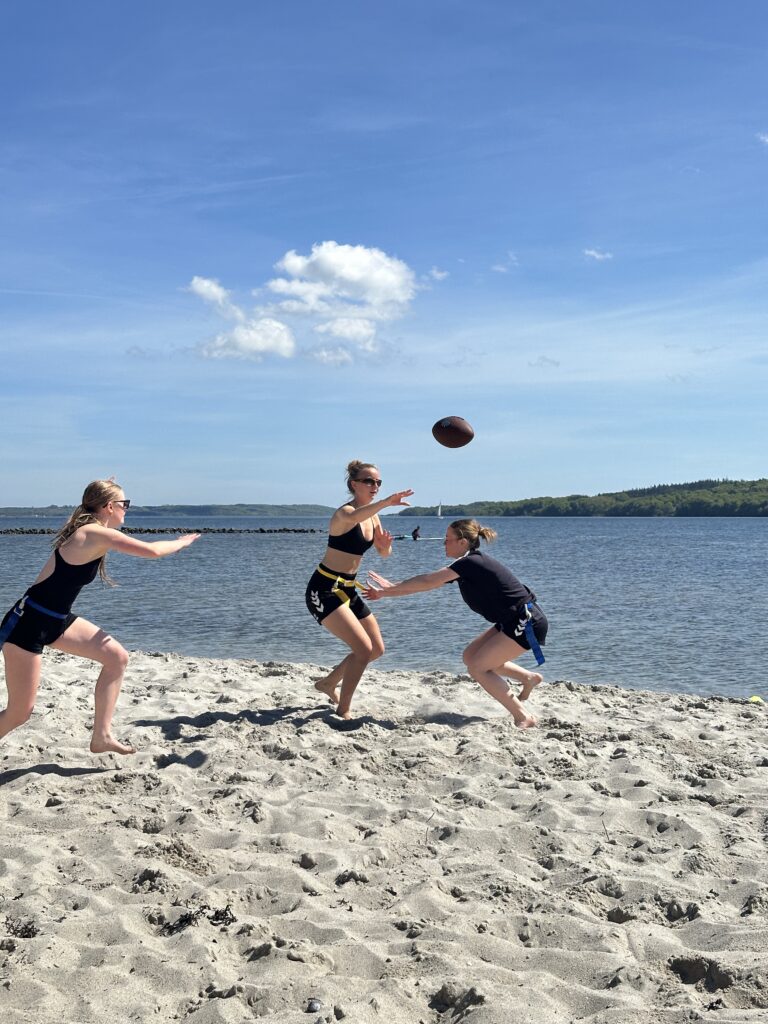 Strandene på Vejle Idrætshøjskole